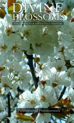 DIVINE BLOSSOMS