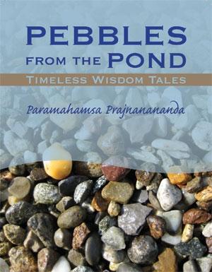 Front cover showing a mixture of pebbles of different size,shapes and textures.